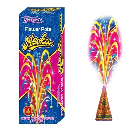 FLOWER POTS -ASOKA